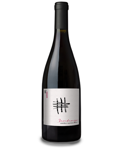 Vino Sentenza